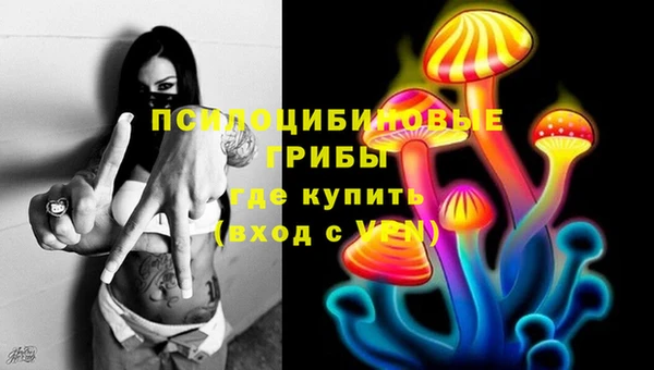 apvp Шали
