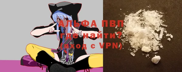 ECSTASY Шадринск