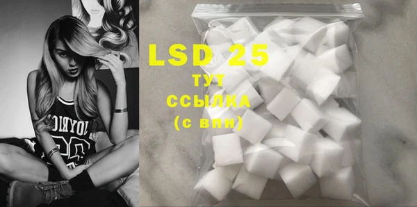 ECSTASY Шадринск