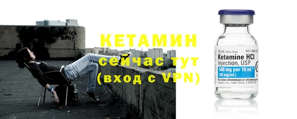 прущие грибы Устюжна