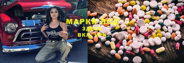apvp Шали