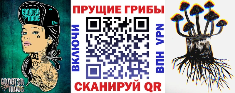 Псилоцибиновые грибы MAGIC MUSHROOMS  ссылка на мегу маркетплейс  Нестеровская  закладки 
